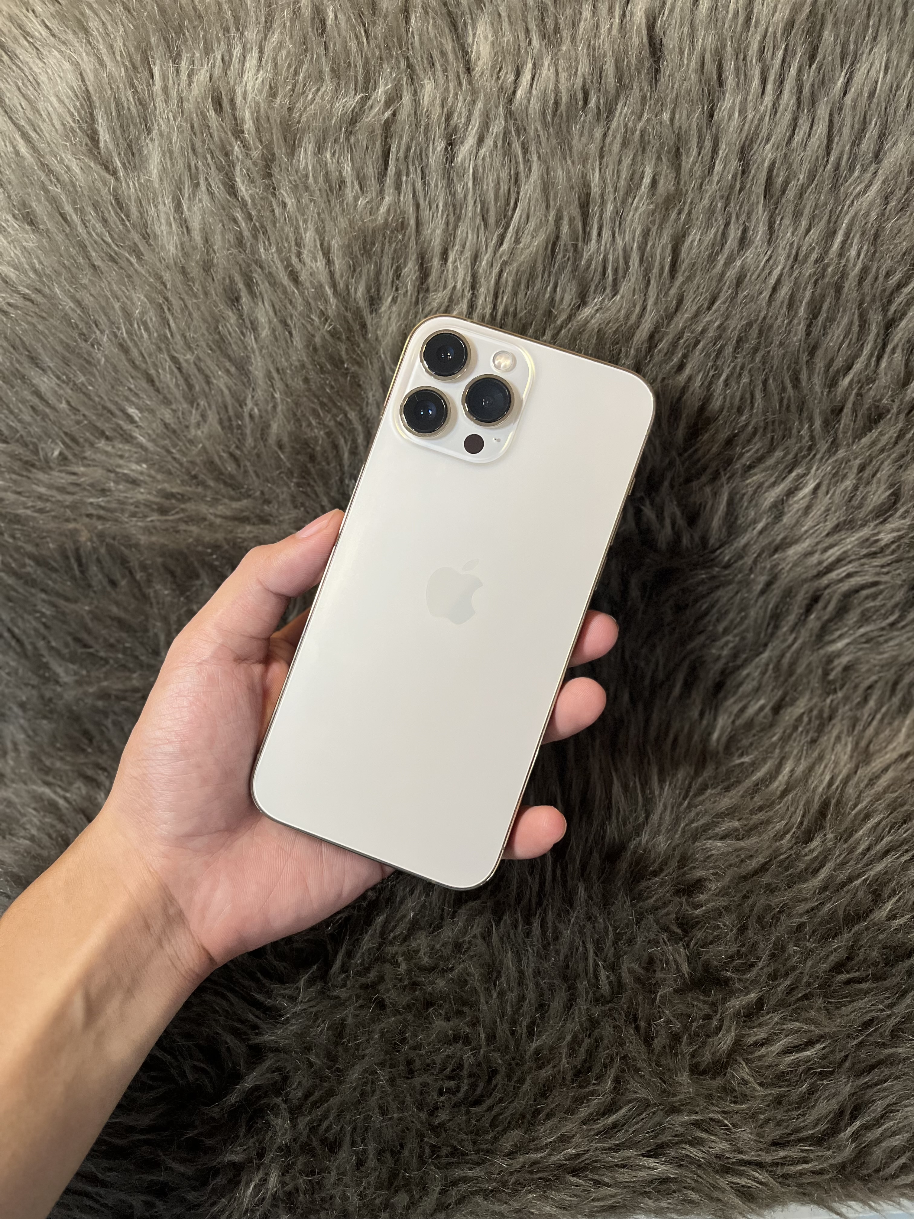 iPhone 13 Promax